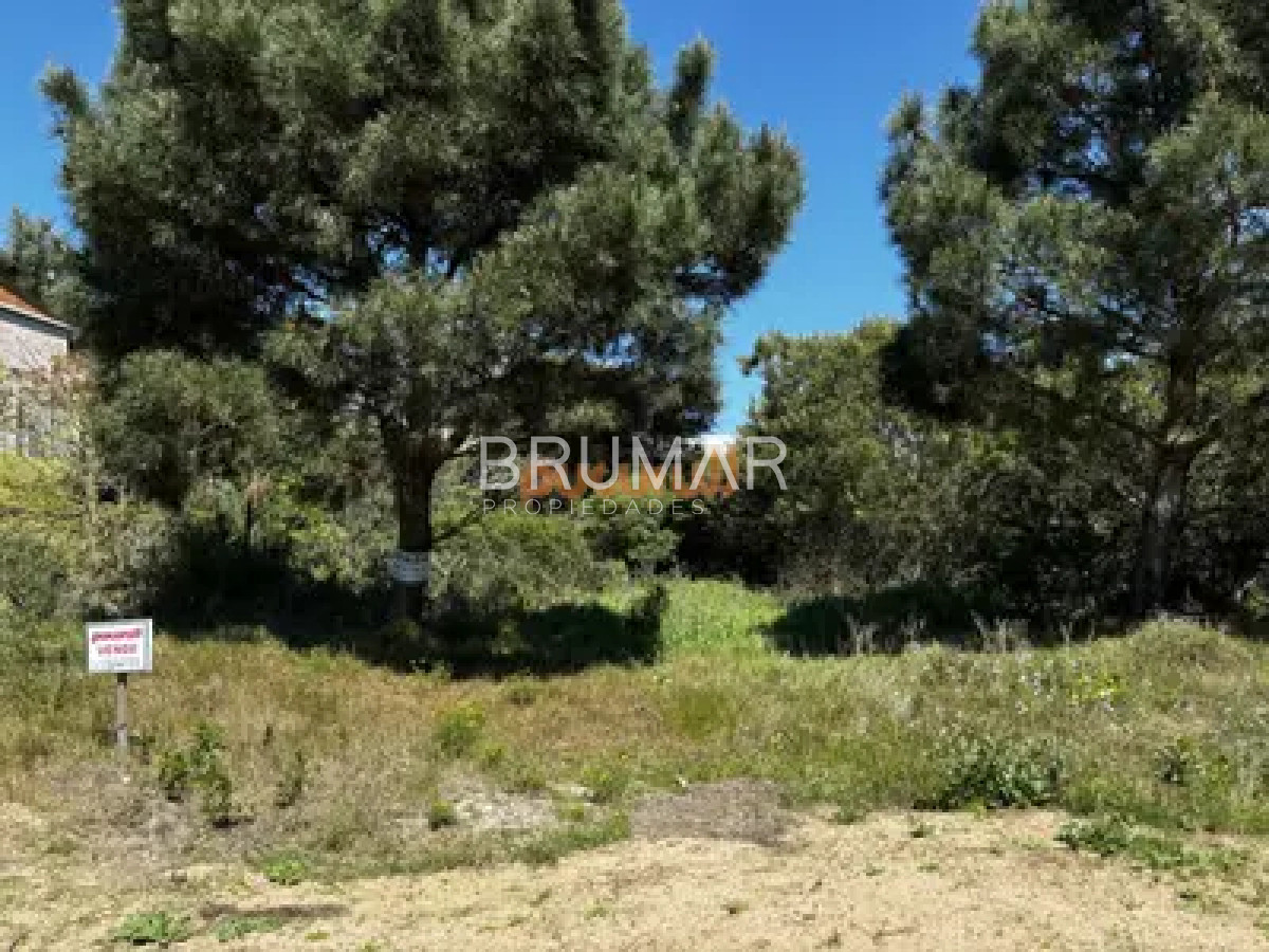 Terreno ID.511 - Venta Terreno Chihuahua