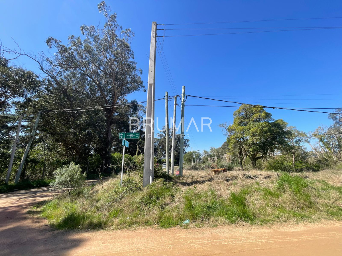 Terreno ID.254 - Excelente terreno esquinero en Venta
