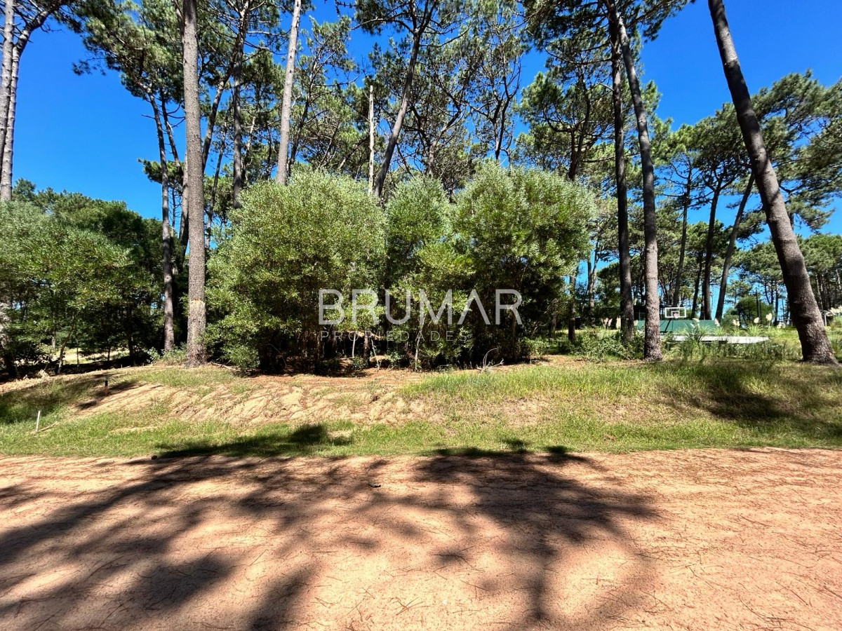 Terreno ID.221 - Venta de Terreno en Reserva Montoya