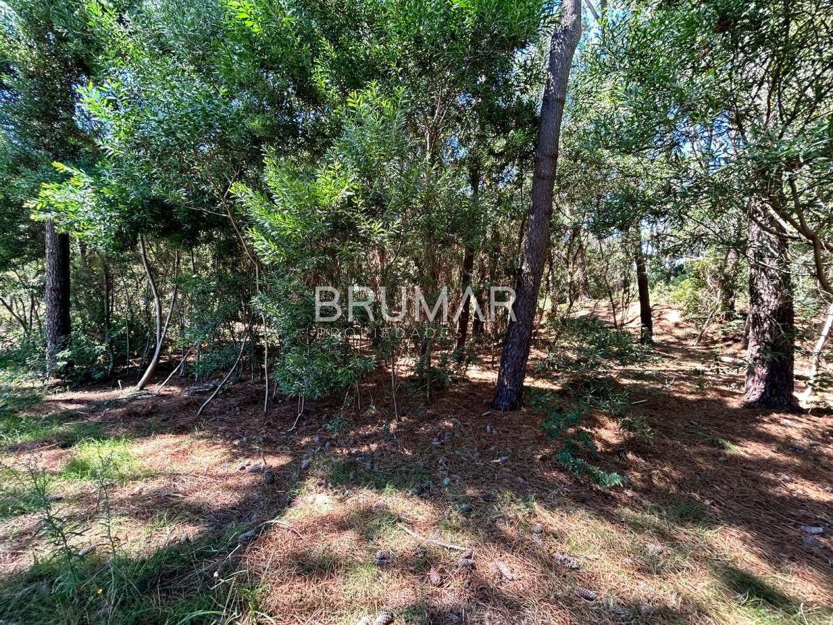 Terreno ID.221 - Venta de Terreno en Reserva Montoya