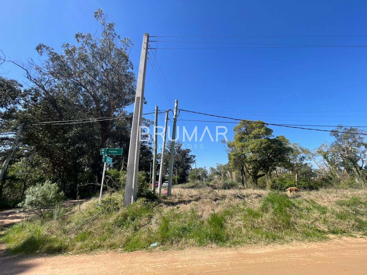 Terreno ID.254 - Excelente terreno esquinero en Venta