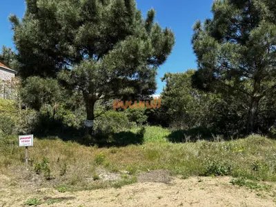 Venta Terreno Chihuahua