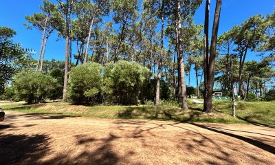 Venta de Terreno en Reserva Montoya