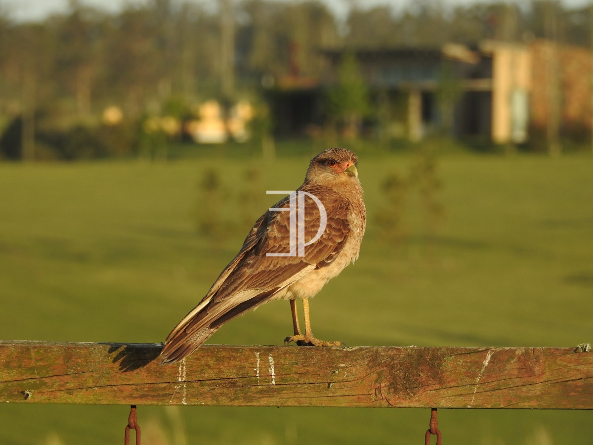 Terreno ID.172 - Terreno en Manantiales, Pueblo Mio