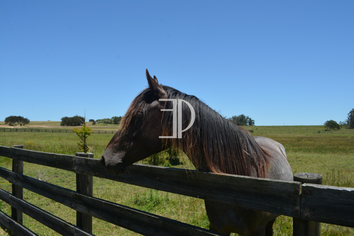 Terreno ID.172 - Terreno en Manantiales, Pueblo Mio