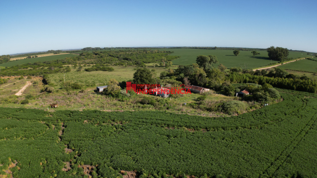 Chacra ID.210 - CHACRA DE MAS DE 44HA EN VENTA SAN JAVIER
