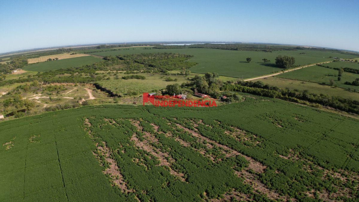 Chacra ID.210 - CHACRA DE MAS DE 44HA EN VENTA SAN JAVIER