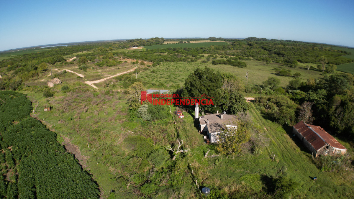 Chacra ID.210 - CHACRA DE MAS DE 44HA EN VENTA SAN JAVIER