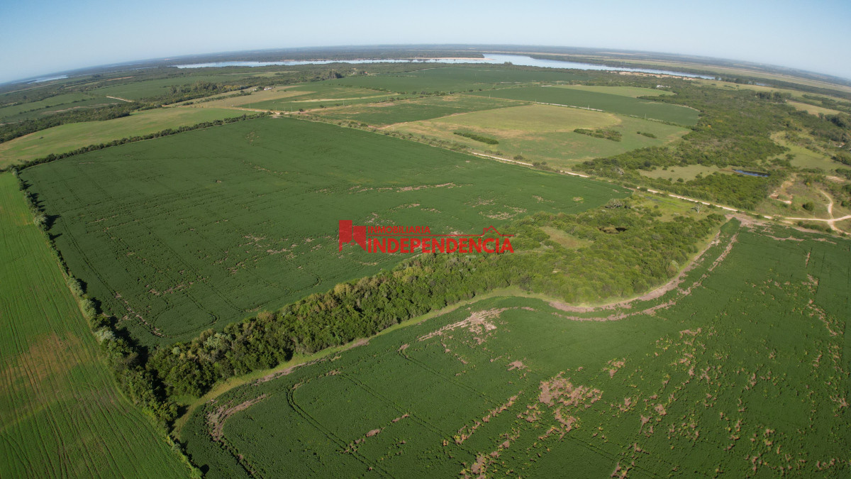 Chacra ID.210 - CHACRA DE MAS DE 44HA EN VENTA SAN JAVIER
