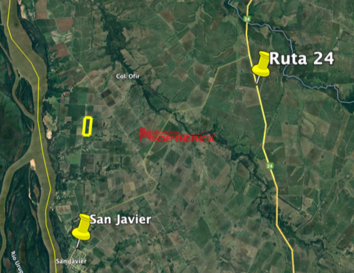 Chacra ID.210 - CHACRA DE MAS DE 44HA EN VENTA SAN JAVIER