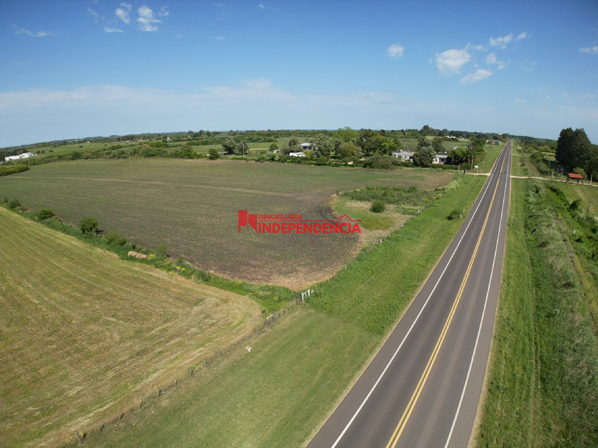 Chacra ID.258 - CHACRAS EN VENTA DE 3HA EN RUTA 90 ZONA BODEGA WASILUK