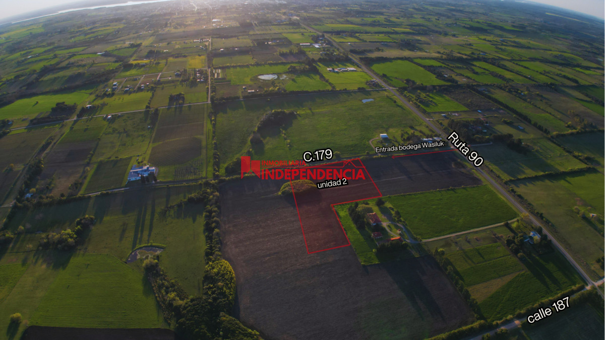 Chacra ID.258 - CHACRAS EN VENTA DE 3HA EN RUTA 90 ZONA BODEGA WASILUK