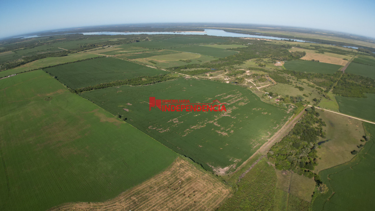 Chacra ID.210 - CHACRA DE MAS DE 44HA EN VENTA SAN JAVIER