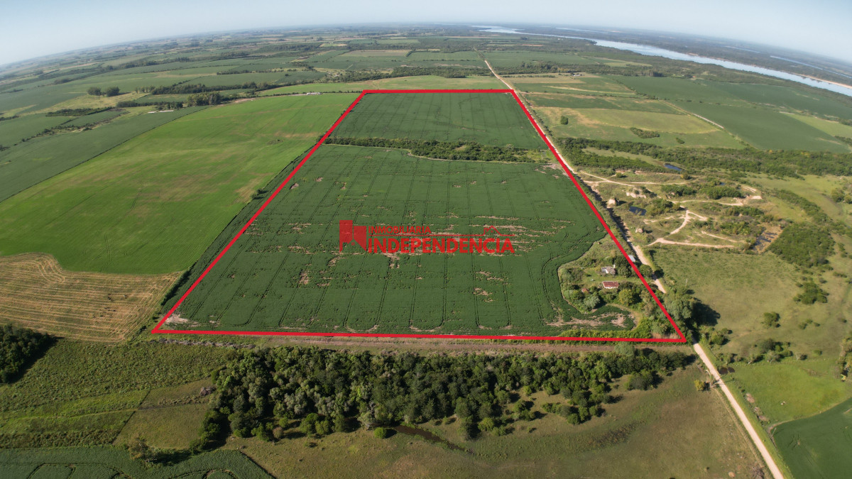 Chacra ID.210 - CHACRA DE MAS DE 44HA EN VENTA SAN JAVIER