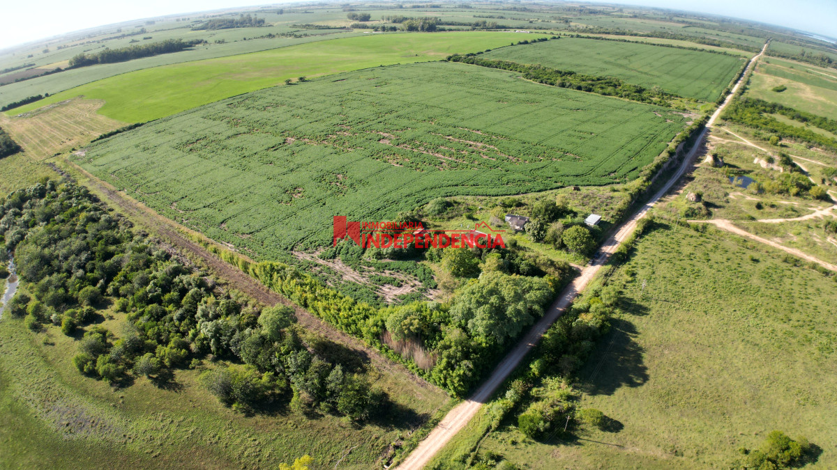 Chacra ID.210 - CHACRA DE MAS DE 44HA EN VENTA SAN JAVIER