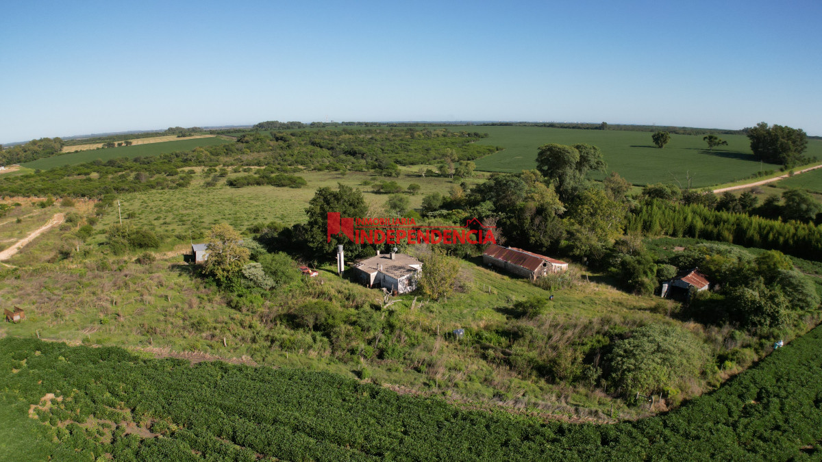 Chacra ID.210 - CHACRA DE MAS DE 44HA EN VENTA SAN JAVIER