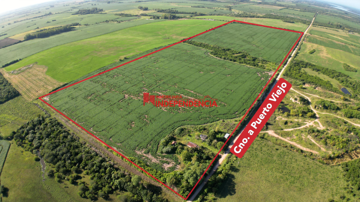 Chacra ID.210 - CHACRA DE MAS DE 44HA EN VENTA SAN JAVIER