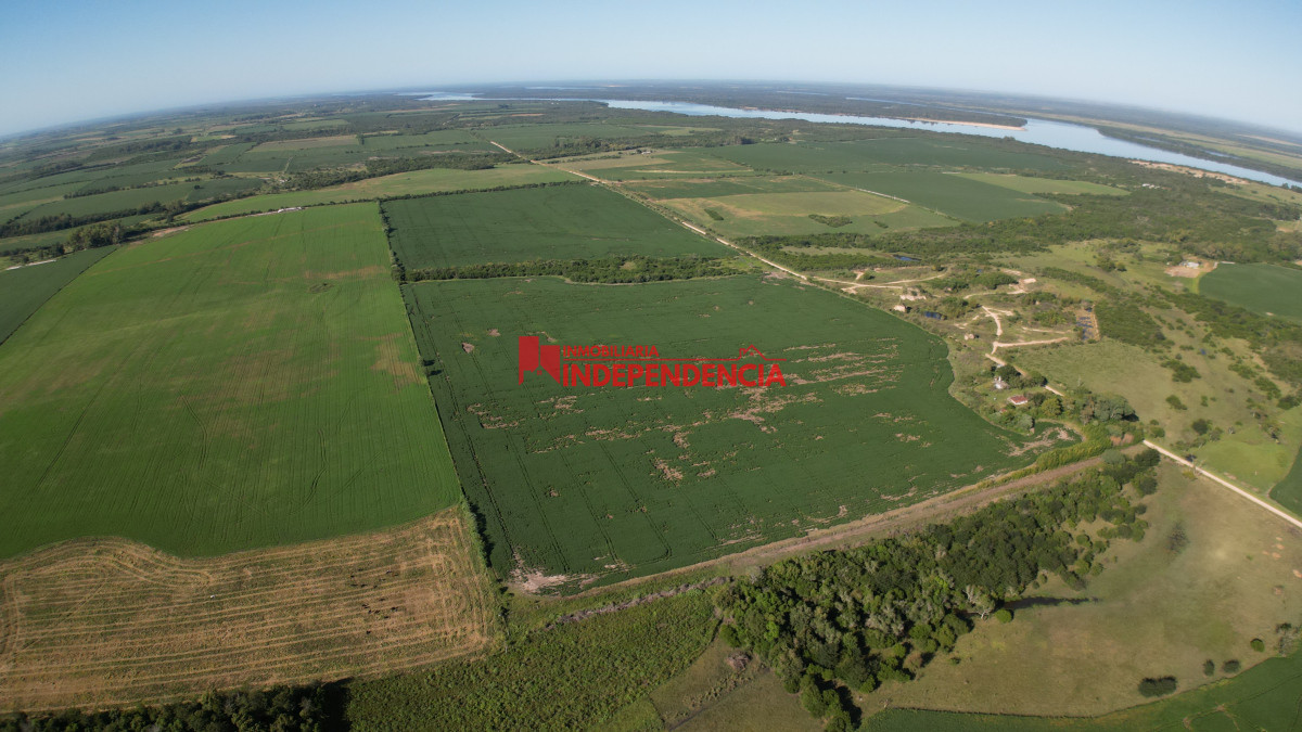 Chacra ID.210 - CHACRA DE MAS DE 44HA EN VENTA SAN JAVIER