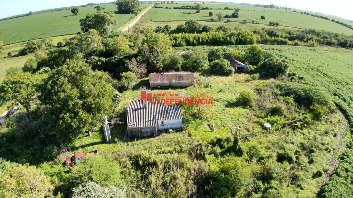 Chacra ID.210 - CHACRA DE MAS DE 44HA EN VENTA SAN JAVIER