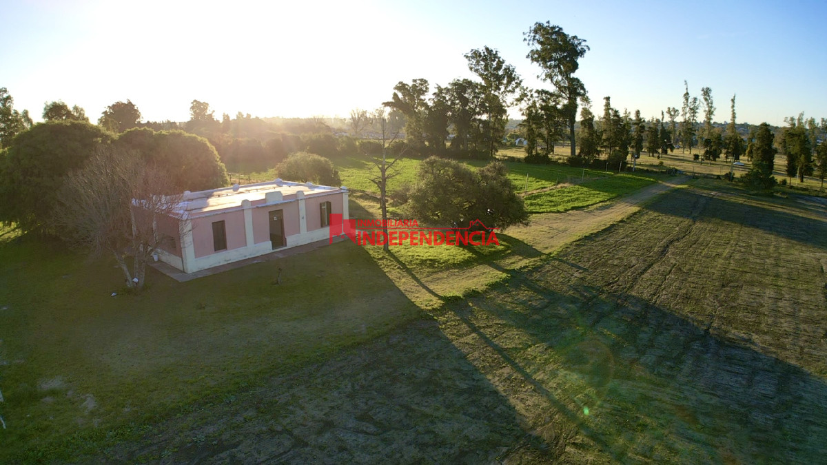 Chacra ID.204 - Chacra en alquiler Zona Parque Paris Londres Paysandu