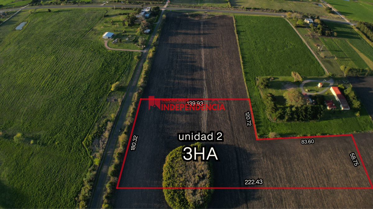 Chacra ID.258 - CHACRAS EN VENTA DE 3HA EN RUTA 90 ZONA BODEGA WASILUK