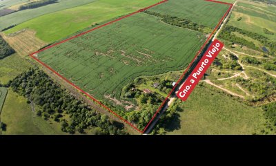 CHACRA DE 44,4 HA EN VENTA SAN JAVIER