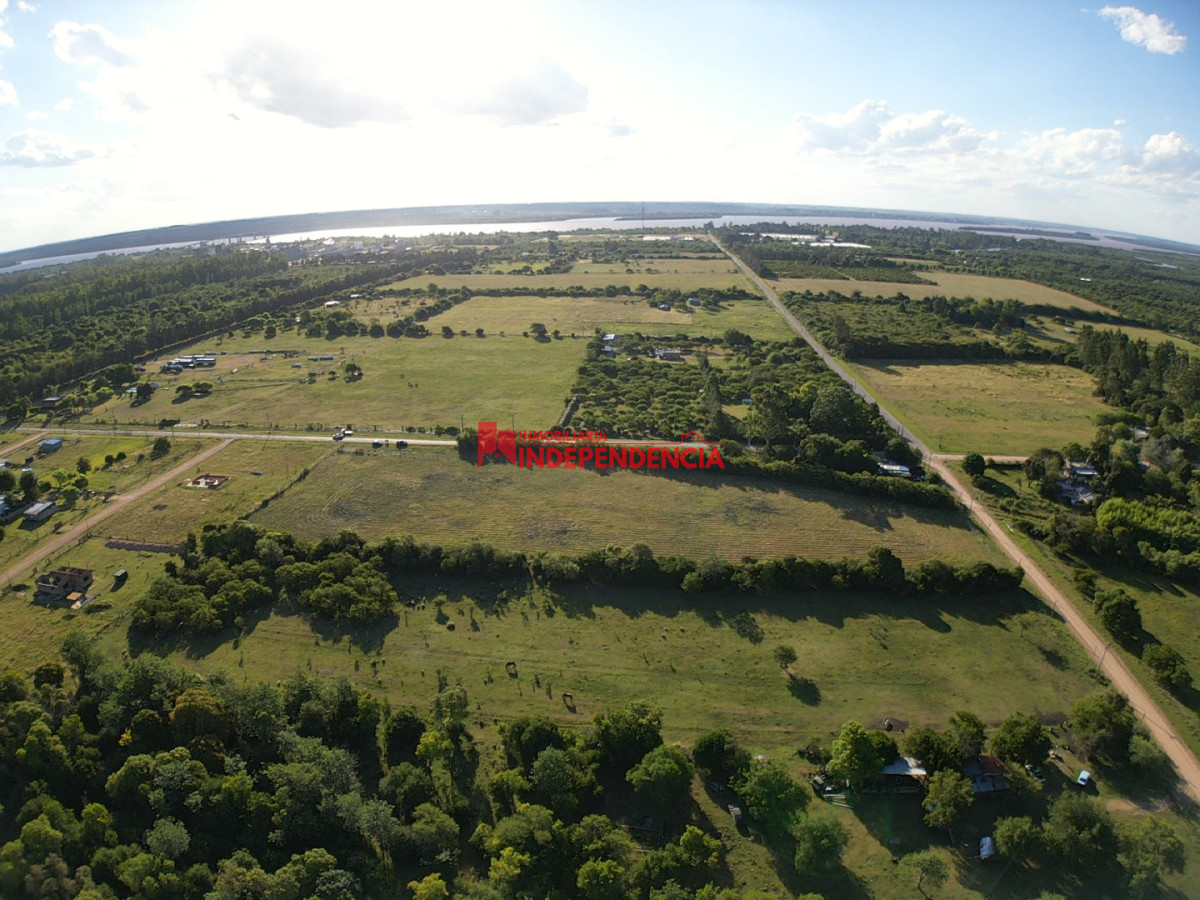 Terreno ID.279 - Terrenos en Zona Autobalsa