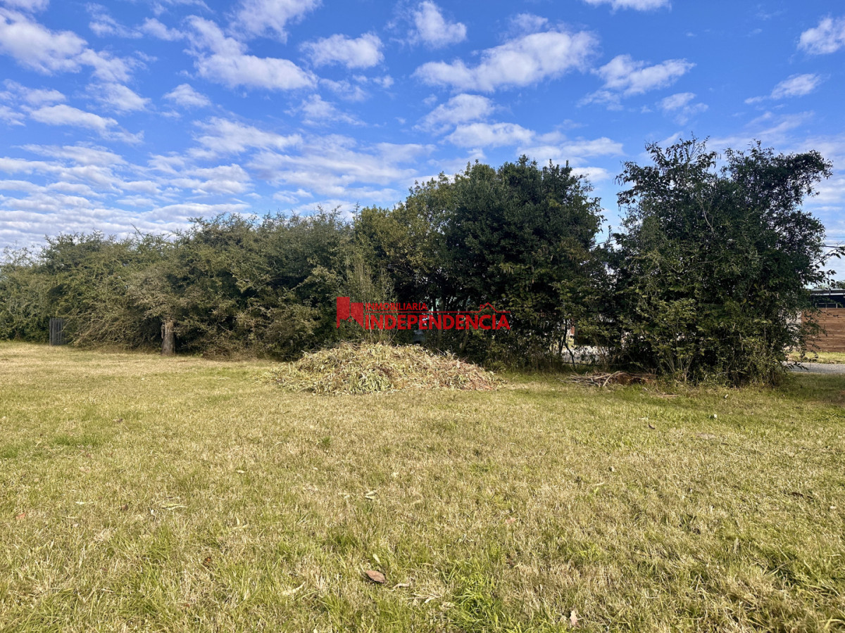 Terreno ID.331 - Venta de dos terrenos de 451m2 zona Nuevo Paysandu