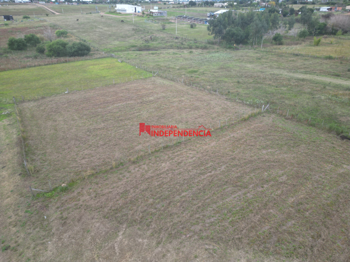 Terreno ID.323 -  2 TERRENOS DE 1.203 M2 EN ZONA EGEO