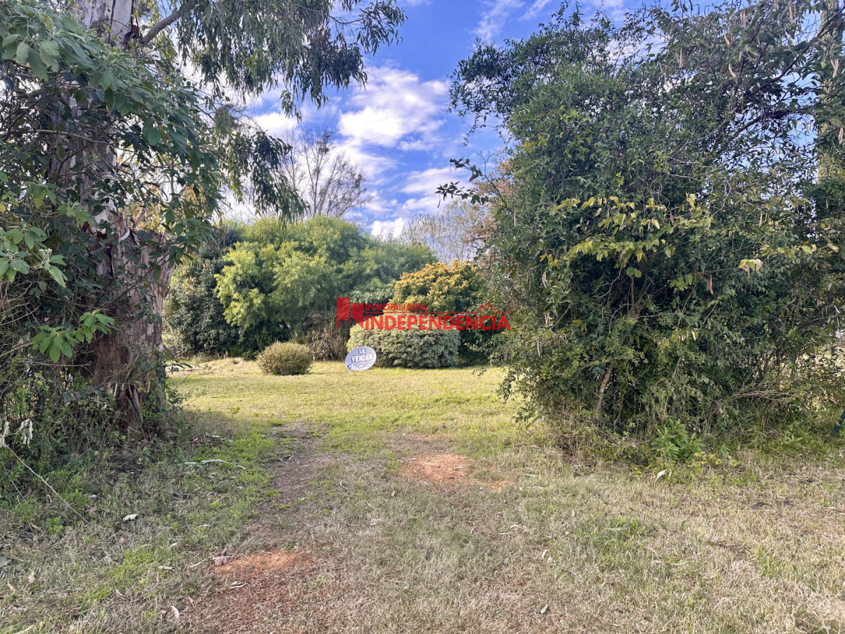 Terreno ID.331 - Venta de dos terrenos de 451m2 zona Nuevo Paysandu