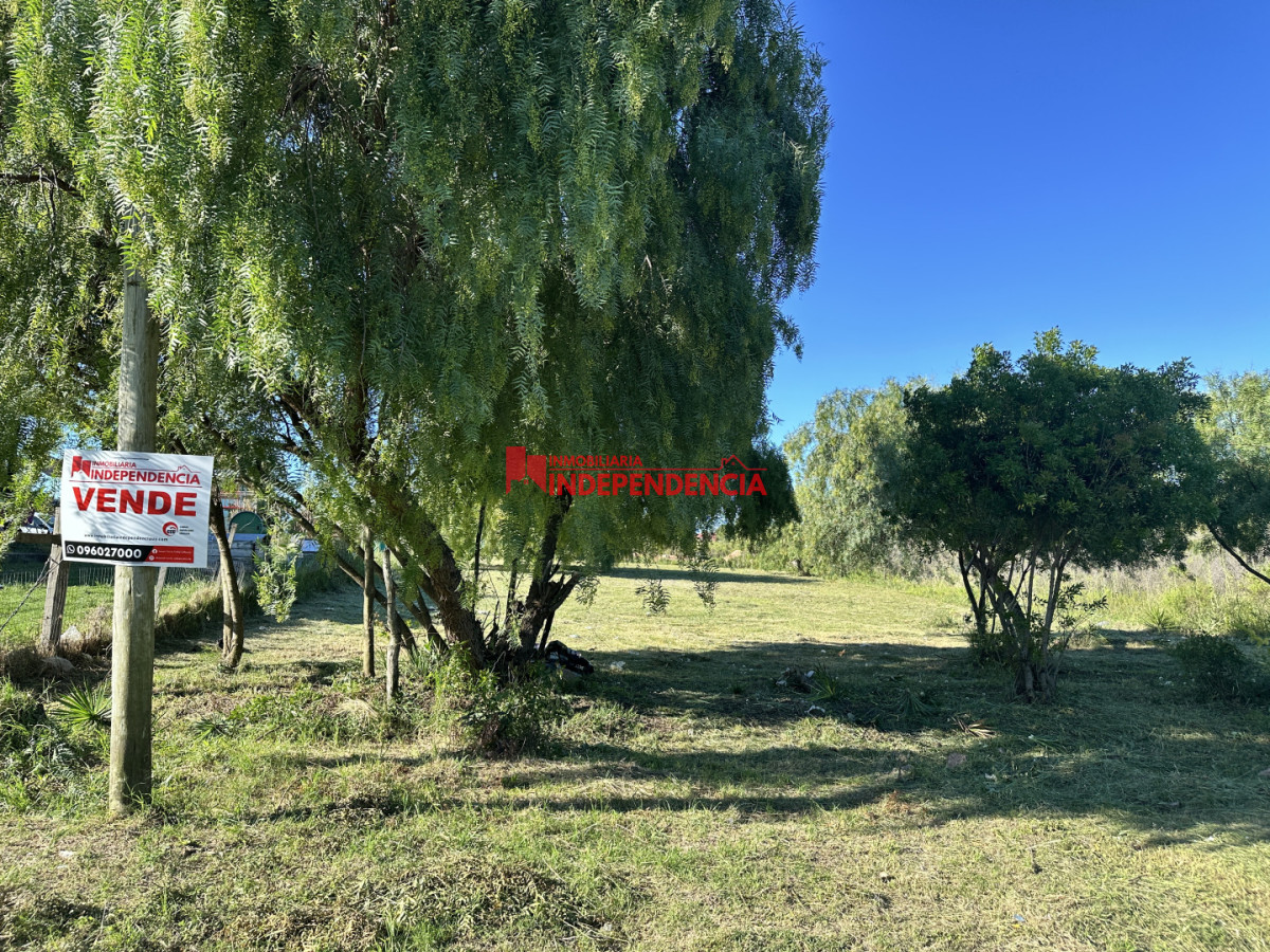 Terreno ID.263 - Se vende terreno 1018m2 con financiación muy accesible