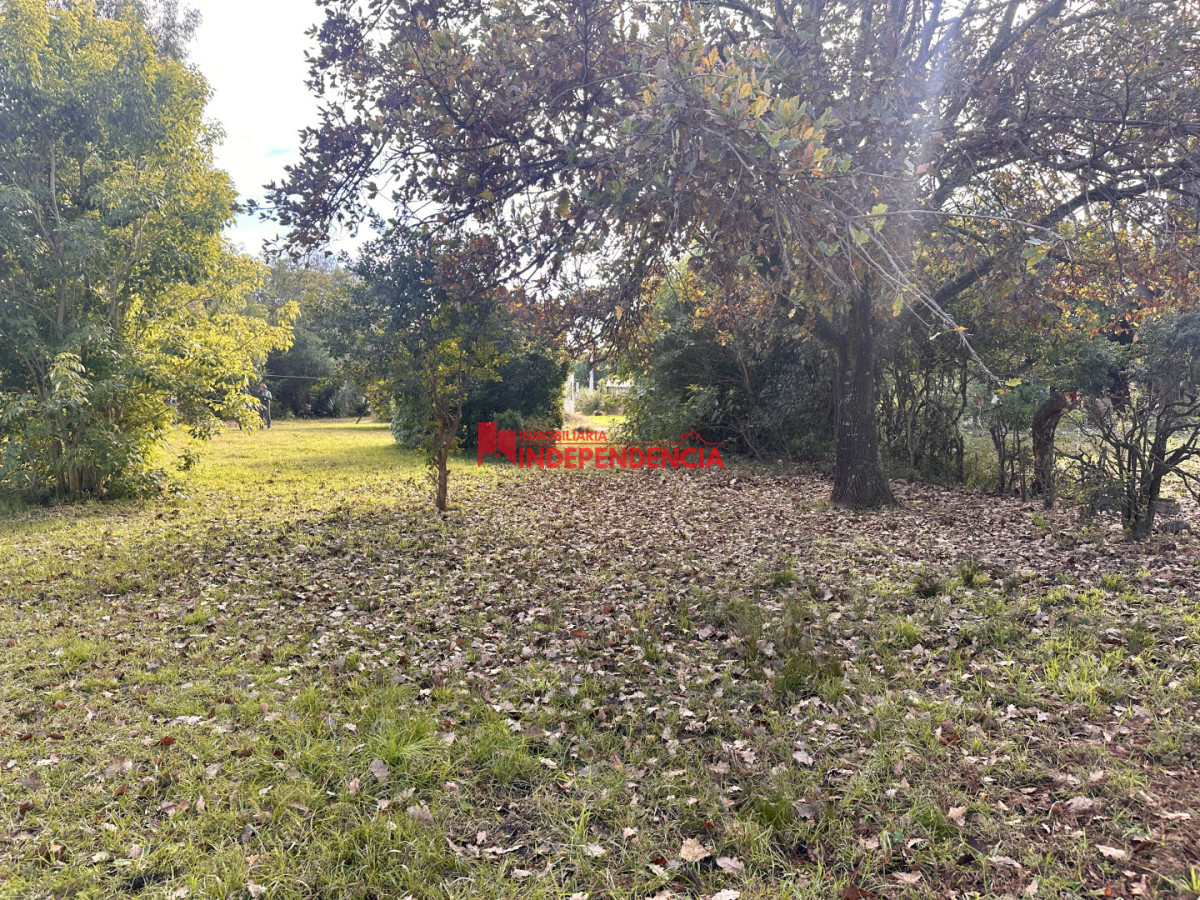 Terreno ID.331 - Venta de dos terrenos de 451m2 zona Nuevo Paysandu