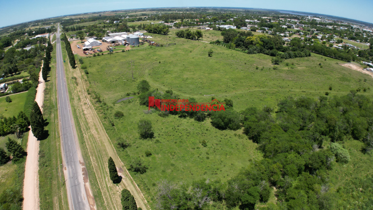 Terreno ID.169 - TERRENOS DE 1 HA EN VENTA CONTADO Y FINANCIADO