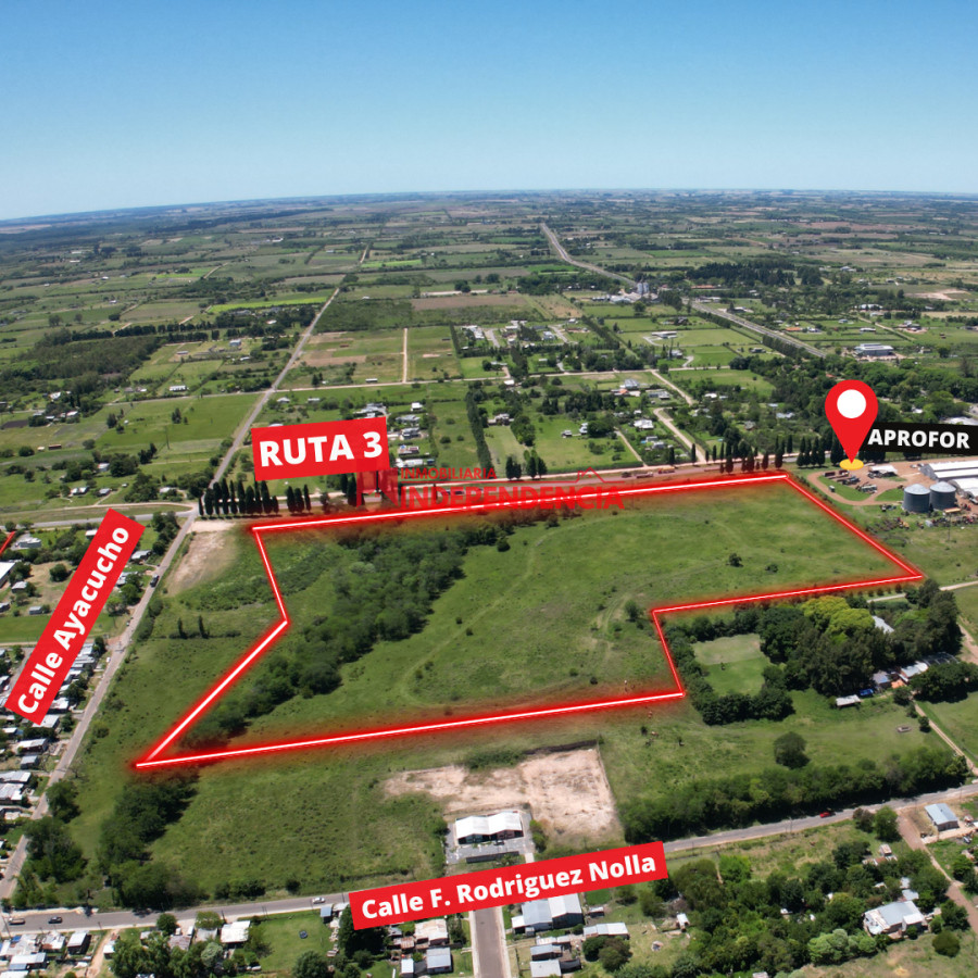 Terreno ID.169 - TERRENOS DE 1 HA EN VENTA CONTADO Y FINANCIADO