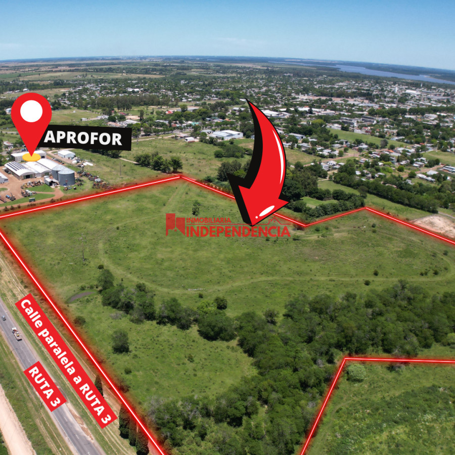 Terreno ID.169 - TERRENOS DE 1 HA EN VENTA CONTADO Y FINANCIADO