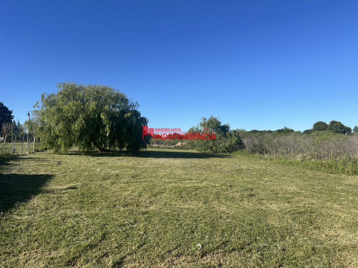 Terreno ID.263 - Se vende terreno 1018m2 con financiación muy accesible