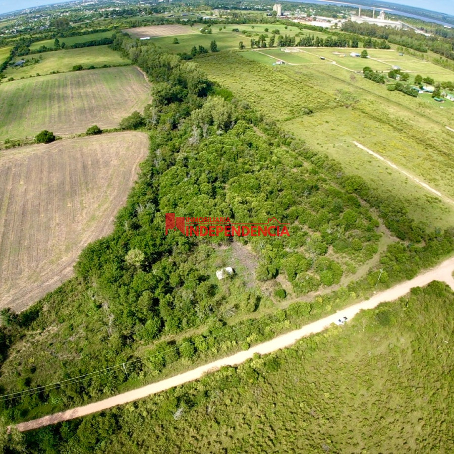 Terreno ID.49 - Terreno de 1 Hectarea en zona autobalsa