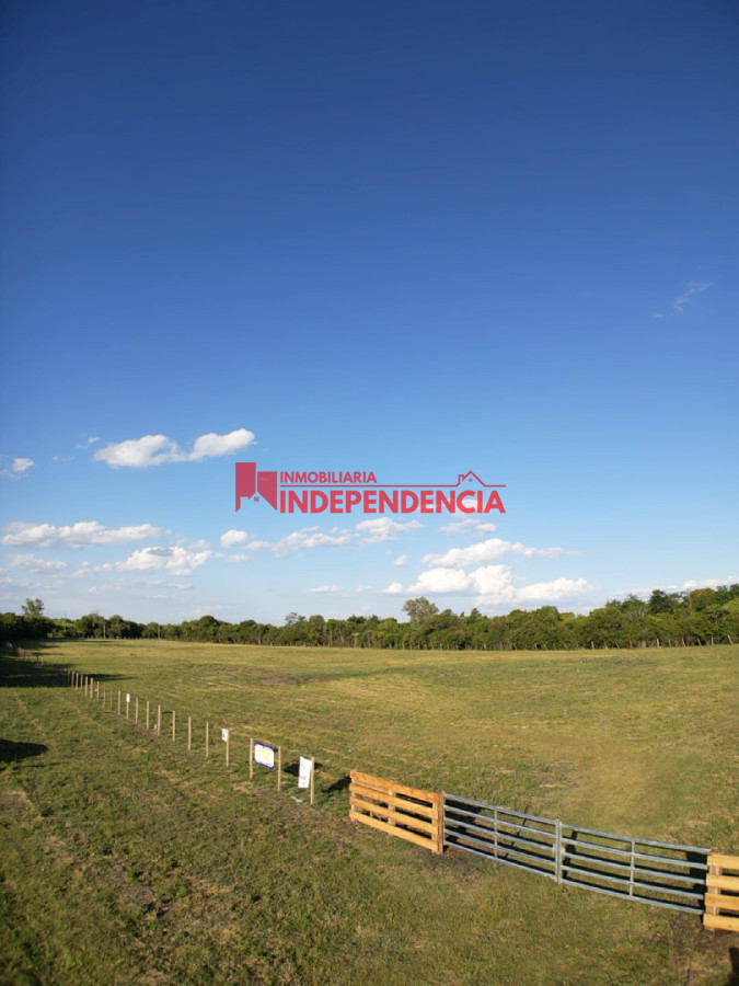 Terreno ID.279 - Terrenos en Zona Autobalsa