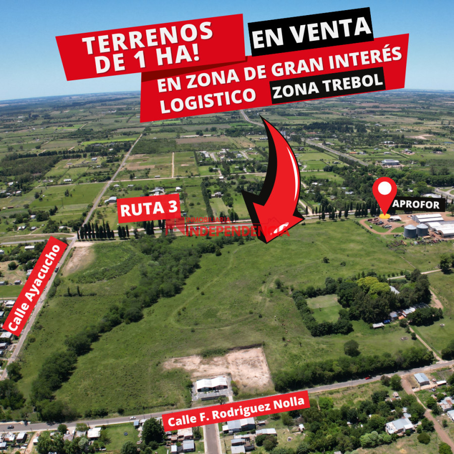 Terreno ID.169 - TERRENOS DE 1 HA EN VENTA CONTADO Y FINANCIADO