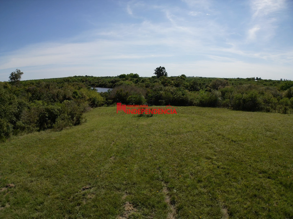 Terreno ID.256 - Terreno contra la costa de Arroyo San Francisco de gran superficie 