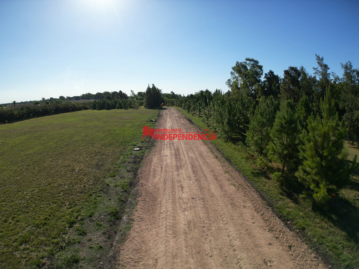 Terreno ID.284 - Última unidad disponible de 2000m2 en Barrio 