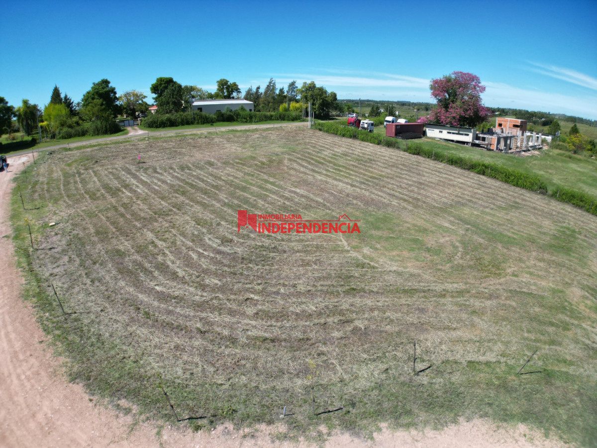 Terreno ID.298 - Terrenos de 1500 m2 sobre Ruta 3