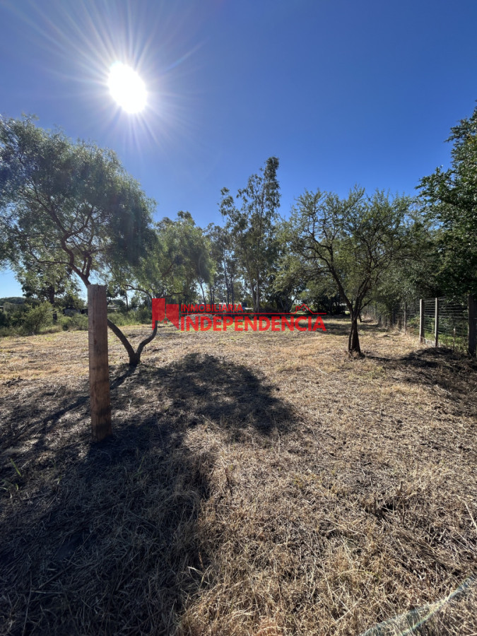 Terreno ID.311 - Terreno en venta de 1119m2 
