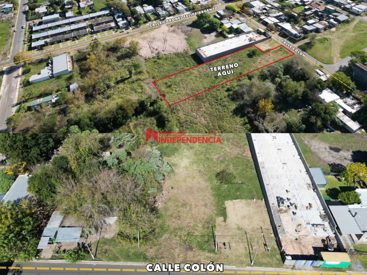 Terreno ID.310 - Terreno de 3003m2 en Venta