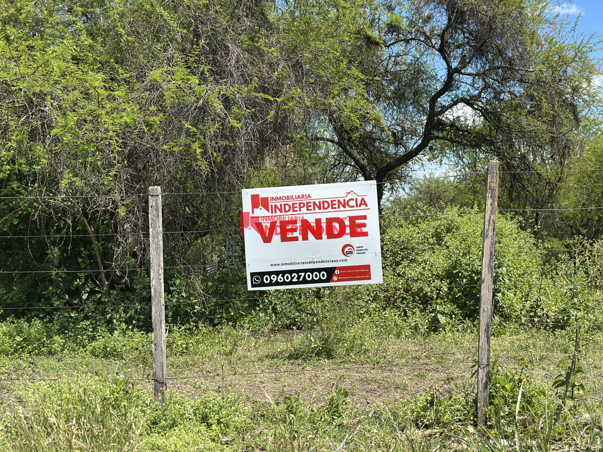 Terreno ID.261 - Terreno en venta zona Nuevo Paysandu 524m2
