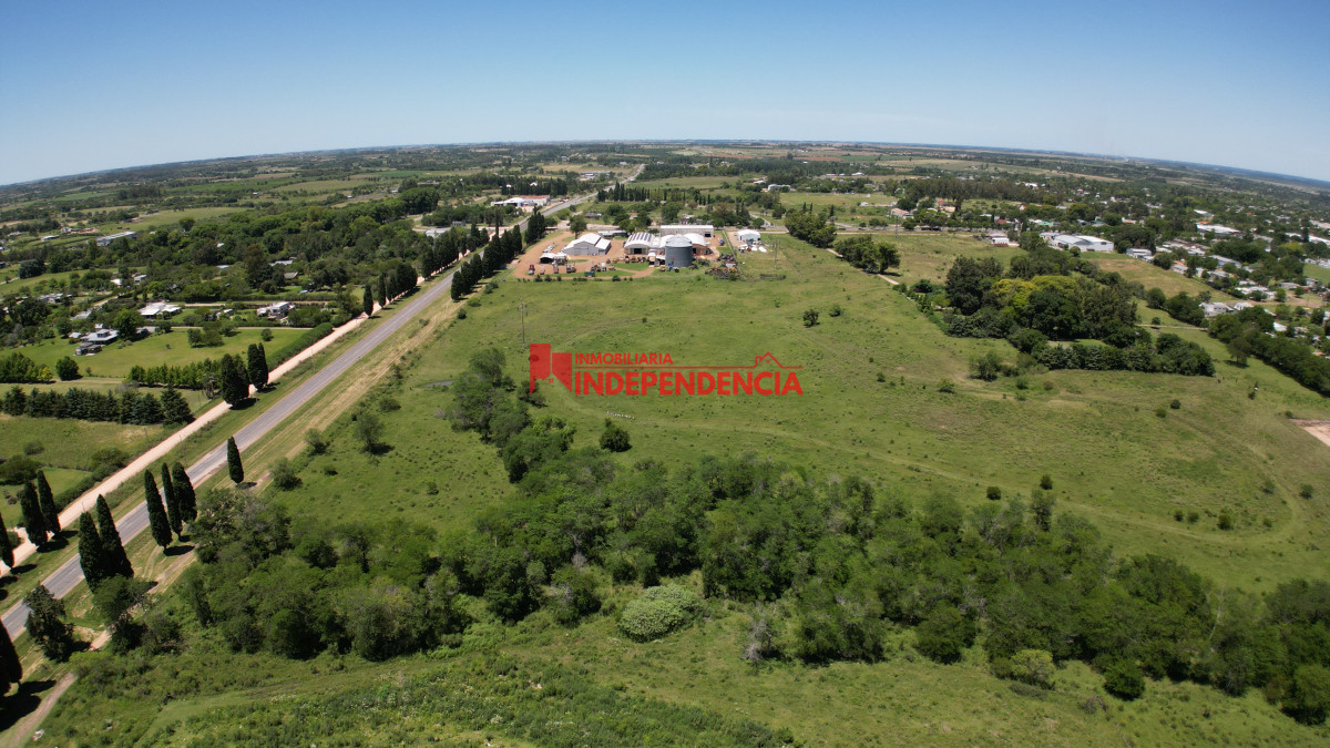 Terreno ID.169 - TERRENOS DE 1 HA EN VENTA CONTADO Y FINANCIADO