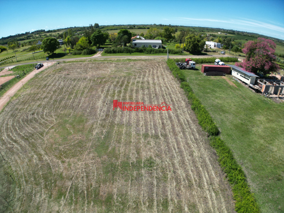 Terreno ID.298 - Terrenos de 1500 m2 sobre Ruta 3