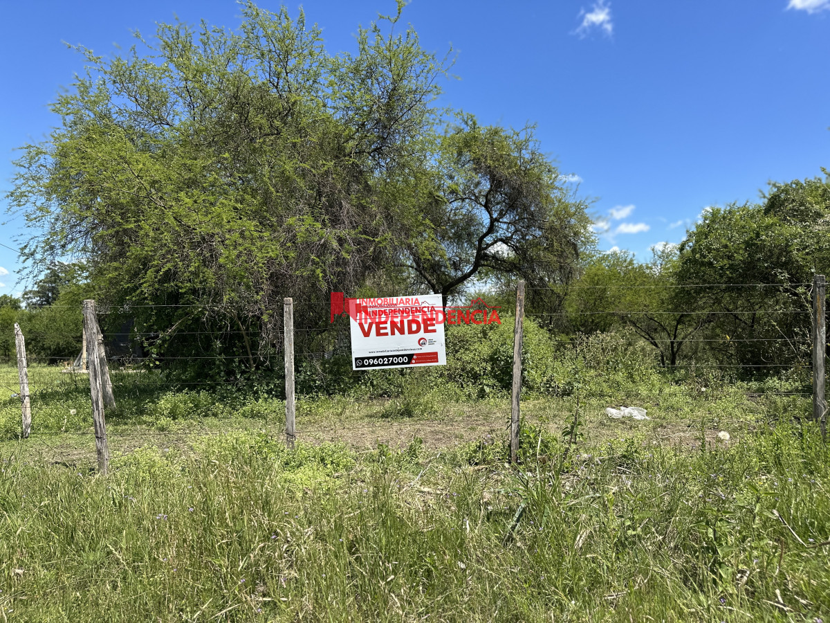 Terreno ID.261 - Terreno en venta zona Nuevo Paysandu 524m2