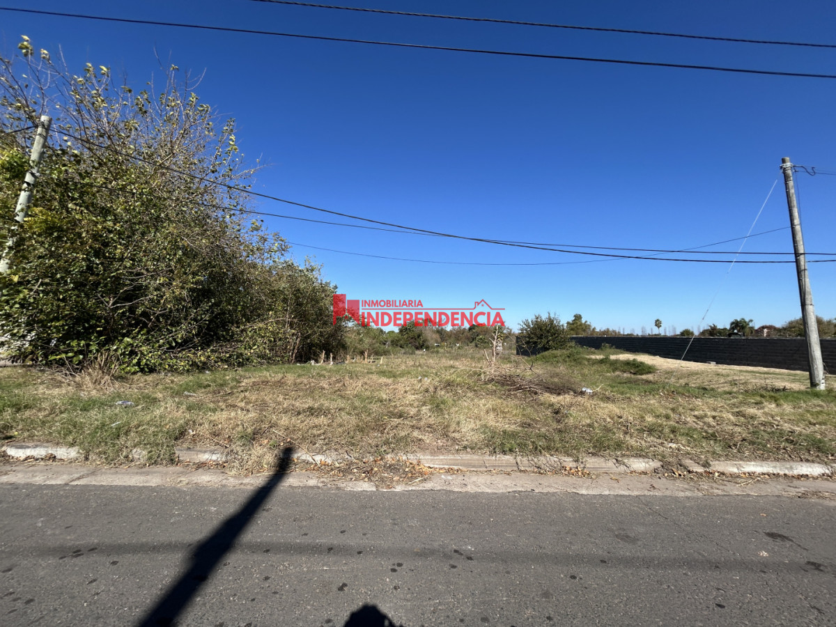Terreno ID.310 - Terreno de 3003m2 en Venta