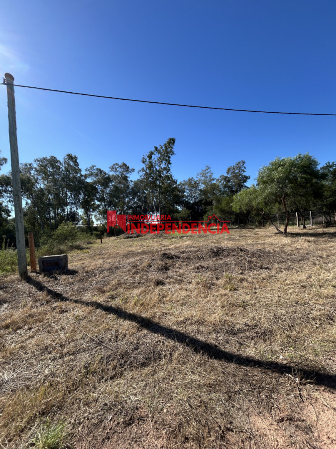 Terreno ID.311 - Terreno en venta de 1119m2 